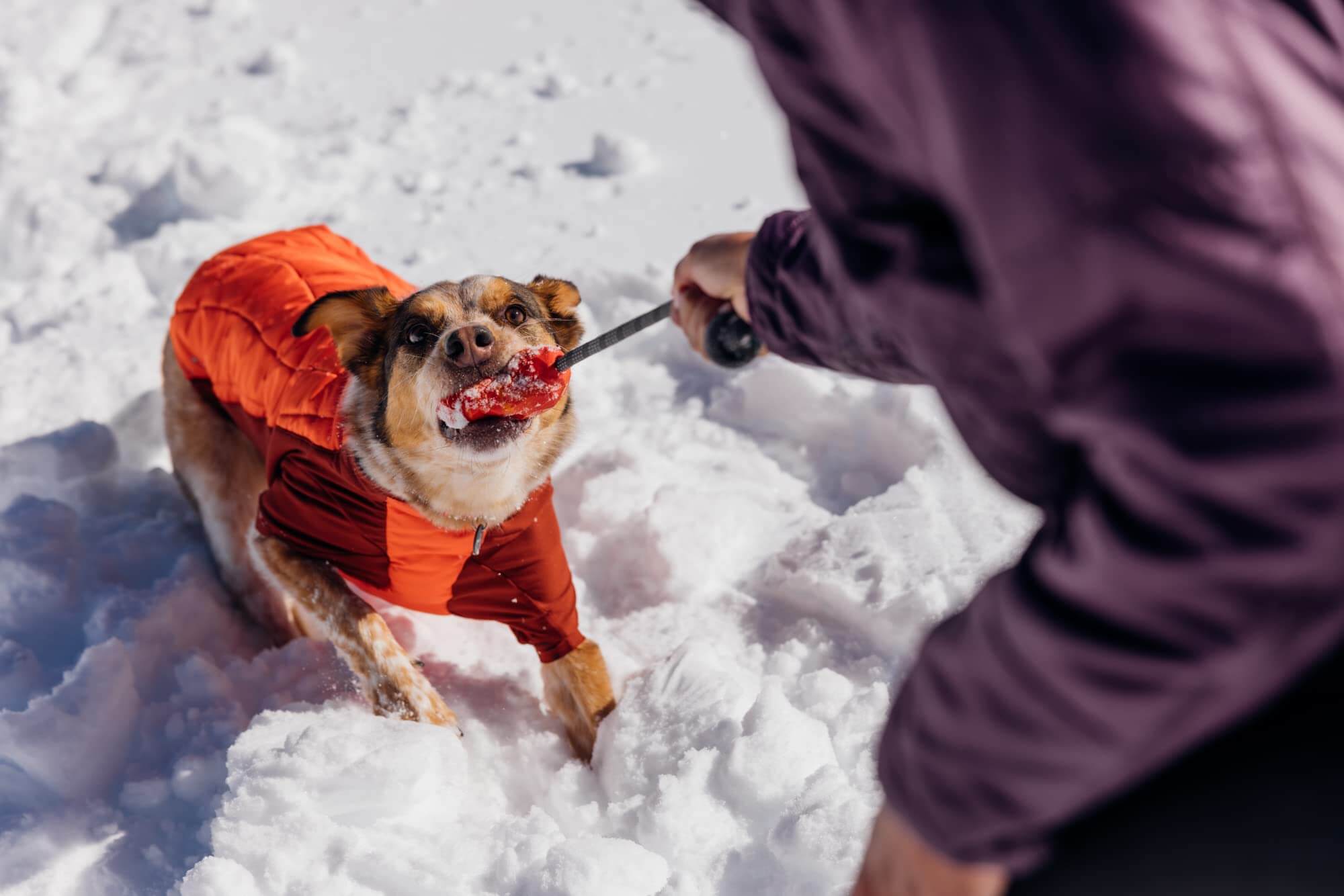 Ruffwear Huck-A-Cone Hundespielzeug