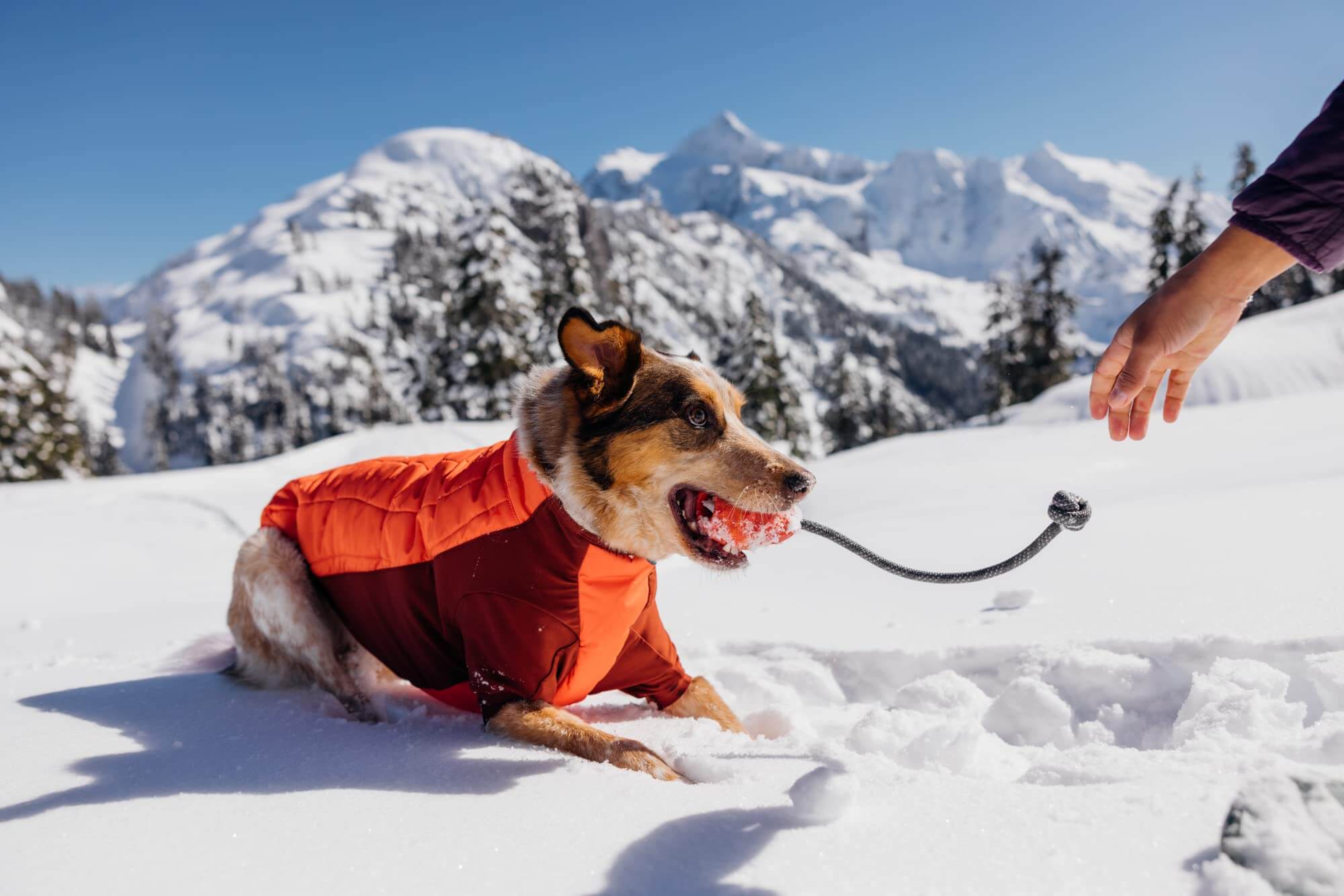 Ruffwear Huck-A-Cone Hundespielzeug