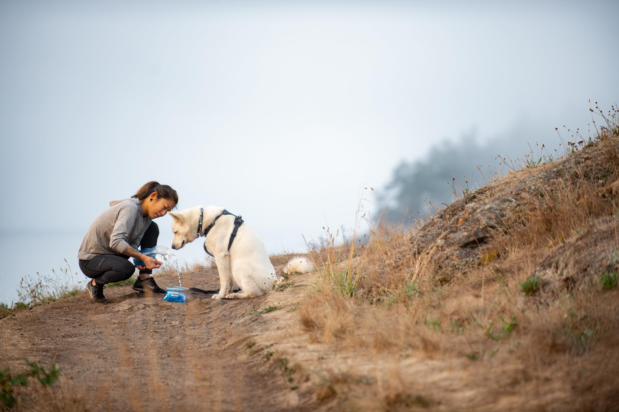 Ruffwear Quencher Travel Reise-Hundenapf